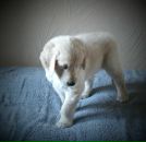 Діма Шевчук фотография #37 (источник - https://vk.com/id42200010)