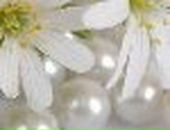 Аннет Valtera фотография #18 (источник - https://vk.com/id20125747)