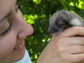 Фотография Доброквашин Артем