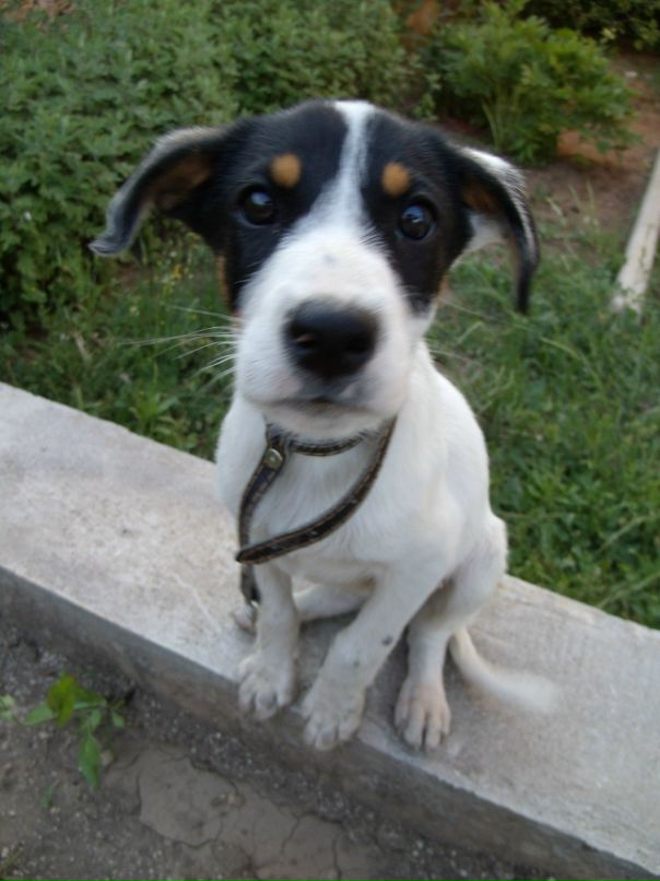 Дмитрий Гого фотография #31