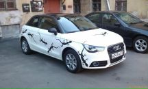 Фотография  