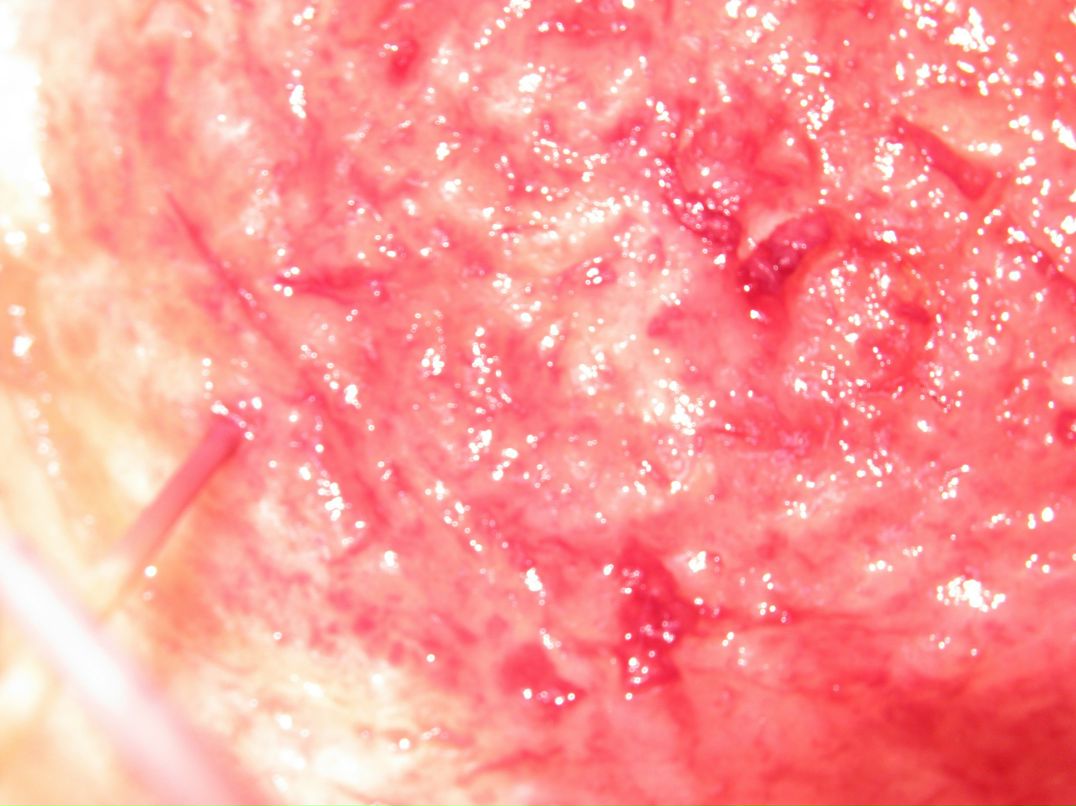 Cucumber Jam фотография #25