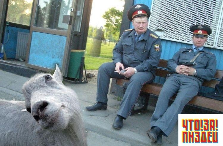 Дмитрий Васильев фотография #43