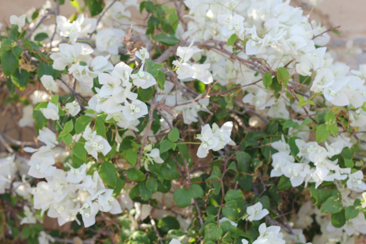 Сергей Крейтор фотография #50