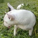 Фотография Андреева Славы