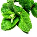 Lu Zu фотография #47 (источник - https://vk.com/id856713)