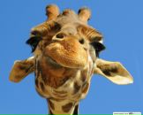 Фотография Сачкова Юры