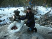 Фотография Ариповой Дарьи