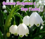 Фотография Друговой Людмилы