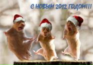 Фотография Петаевой Татьяны