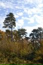 Нелька Ісак фотография #9 (источник - https://vk.com/id64742307)