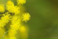 Ol Ka фотография #41 (источник - https://vk.com/id4881037)