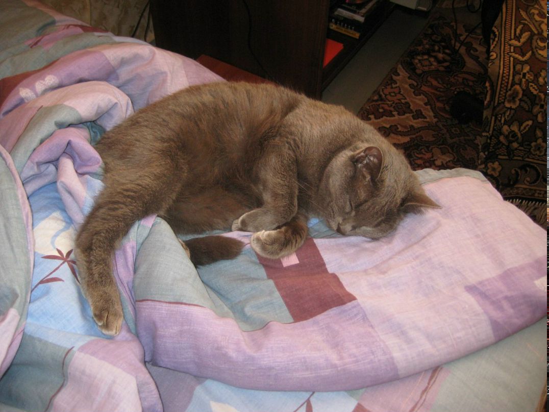 Илья Воробьев фотография #38