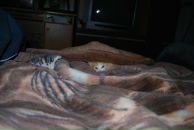 Андрей Рыбкин фотография #42 (источник - https://vk.com/id2490301)