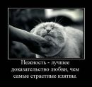 Танічка Малюк фотография #40 (источник - https://vk.com/id132361394)