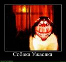 Андрій Філевський фотография #7 (источник - https://vk.com/id8253747)