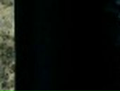 Дмитрий Сидоренко фотография #38 (источник - https://vk.com/id102488413)