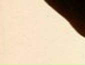 Дмитрий Егоров фотография #3 (источник - https://vk.com/id778201)