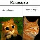 Іванка Парова фотография #2 (источник - https://vk.com/id113515923)