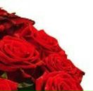 Діма Скринник фотография #21 (источник - https://vk.com/id21423407)