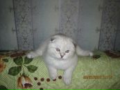 Фотография Чераневой Оленьки
