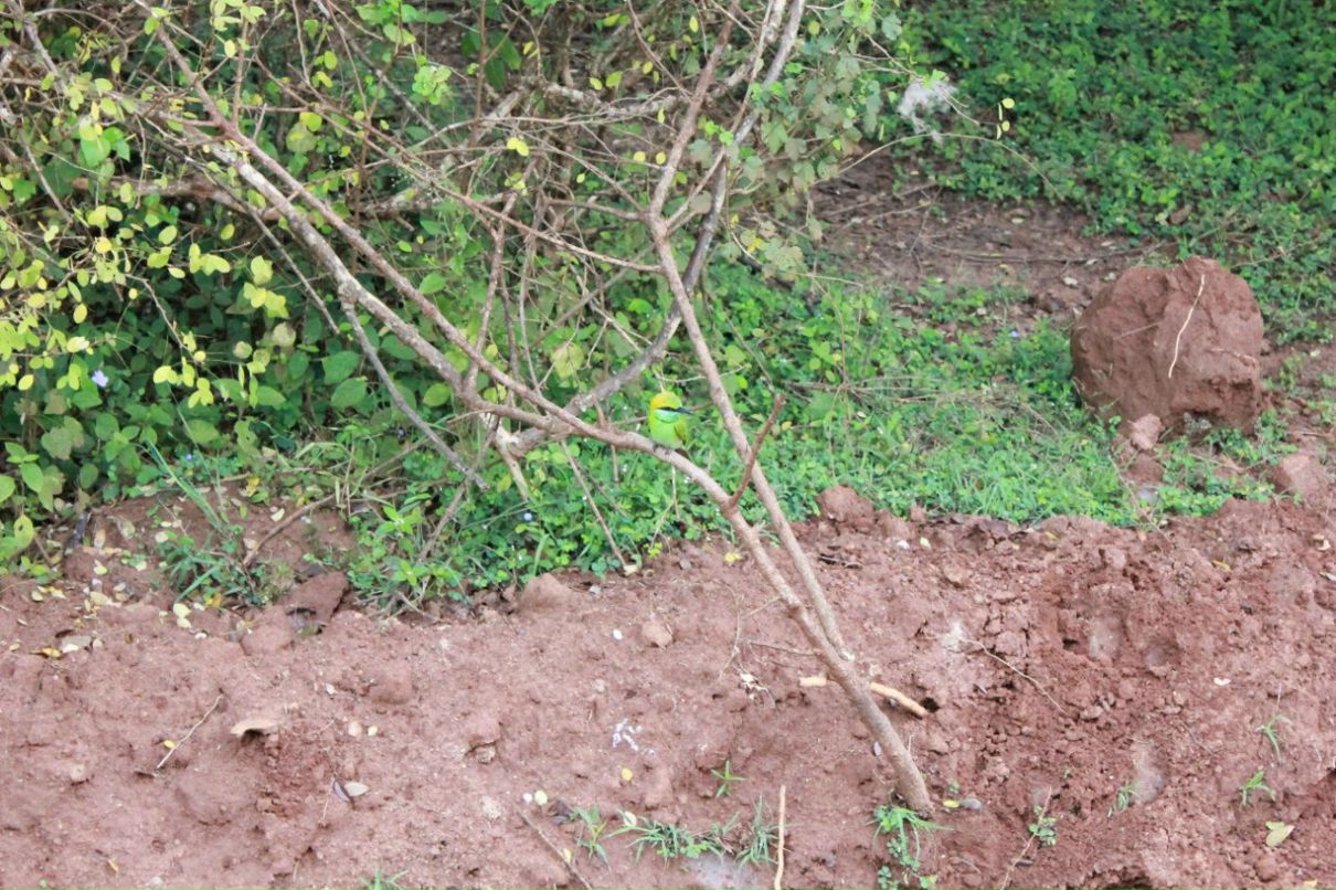 Кса На фотография #18