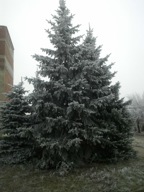 Дмитрий Фелюст фотография #20