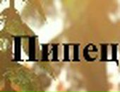 Віра Тригуба фотография #12 (источник - https://vk.com/id113231663)