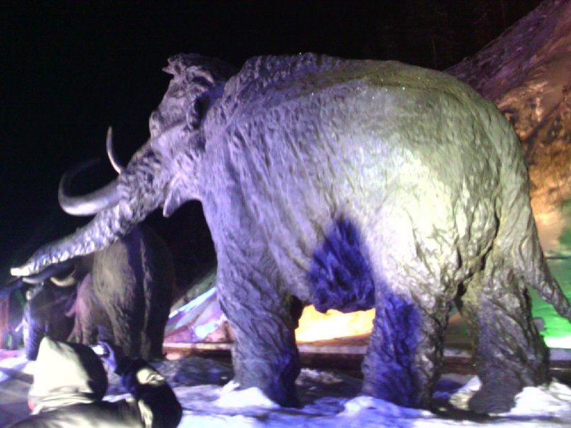 Юра Башков фотография #35