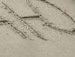 Жека Федіна фотография #11 (источник - https://vk.com/id72508899)