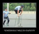 Сергій Шкварун фотография #31 (источник - https://vk.com/id151916547)