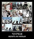 Діма Балагурчик фотография #50 (источник - https://vk.com/id145534037)