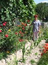 Ірина Колодій--Чернихівська фотография #2 (источник - https://vk.com/id159435346)