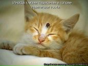 Фотография Александровича Олега