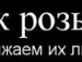 Віктор Віктор фотография #5 (источник - https://vk.com/id135312509)
