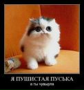 Фотография Мониной Елены