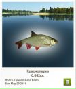 Віталій Гойда фотография #12 (источник - https://vk.com/id98045376)