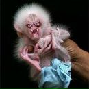 Фотография Егоренкова Андрея