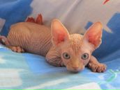 Фотография Поливанного Алексея