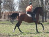 Фотография Николаевой Ольги