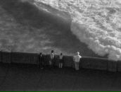 Фотография Criminel Bebe