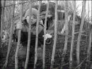 Андрій Бурак фотография #39 (источник - https://vk.com/id143182356)