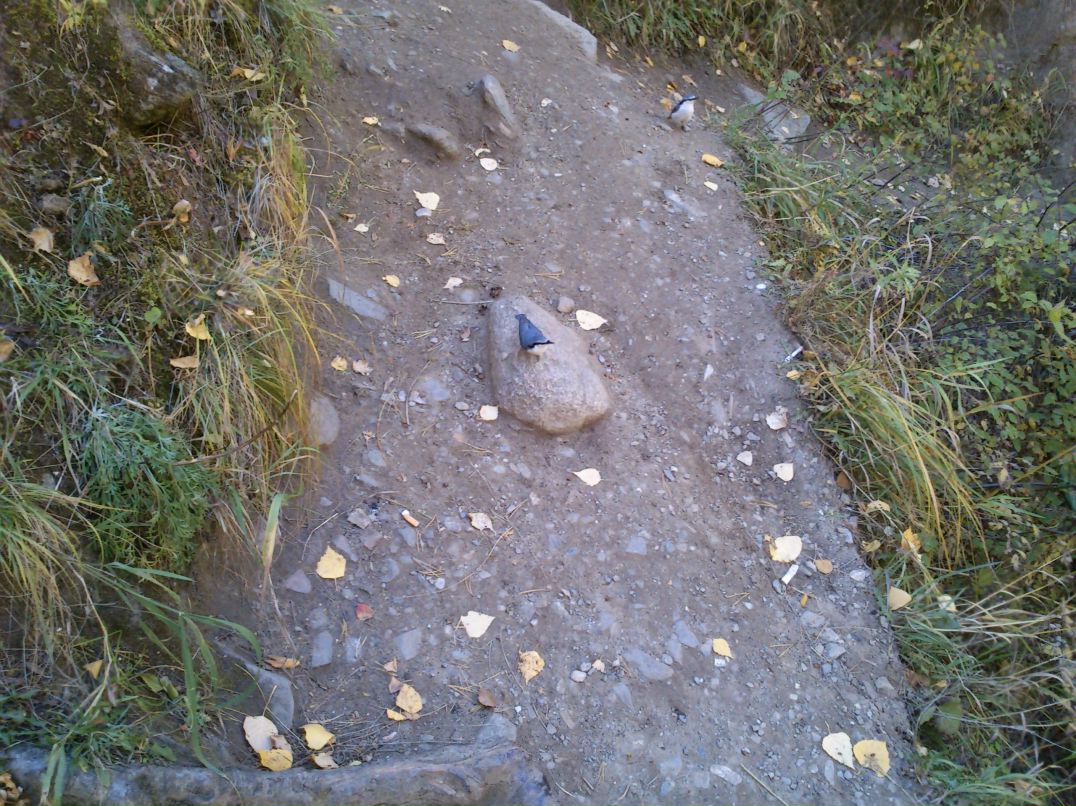 Дмитрий Неруш фотография #21