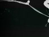 Вадім Іщук фотография #12 (источник - https://vk.com/id163204217)