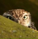 Фотография Экспансии Белко