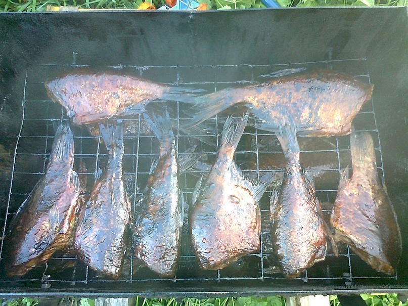 Андрей Пушкарев фотография #28