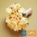 Віта Ільчук фотография #5 (источник - https://vk.com/id104578621)