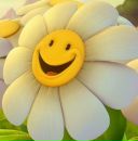 Фотография Грошевой Алены