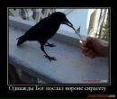 Ігорь Круподеря фотография #27 (источник - https://vk.com/id26804527)