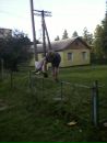 Діма Санківський фотография #23 (источник - https://vk.com/id123002806)